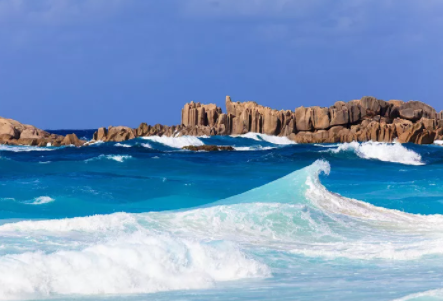 塞舌爾公司逾期年審有什么后果？